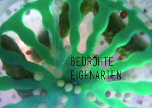 Bedrohte Eigenarten Flyer