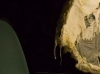 hohle-nacht-und-stuhl