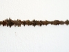 14Dornenlinie