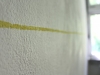 Pollen1